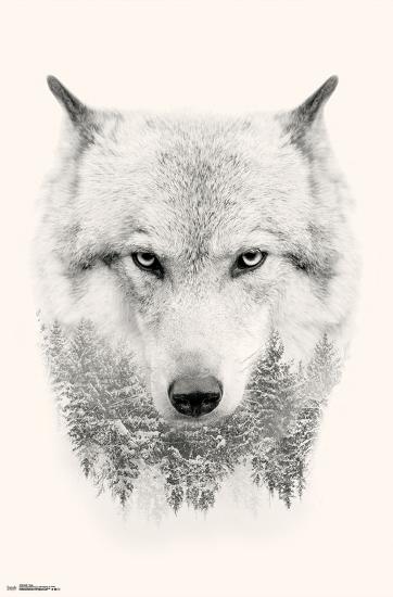 WOLF - TREES-null-Lamina Framed Poster