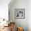 Wolf-null-Framed Premium Photographic Print displayed on a wall