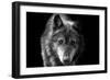 Wolf-Brian Dunne-Framed Photographic Print