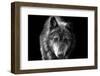 Wolf-Brian Dunne-Framed Photographic Print