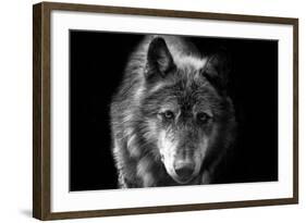 Wolf-Brian Dunne-Framed Photographic Print