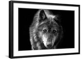 Wolf-Brian Dunne-Framed Photographic Print