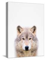 Wolf-Tai Prints-Stretched Canvas