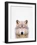 Wolf-Tai Prints-Framed Photographic Print