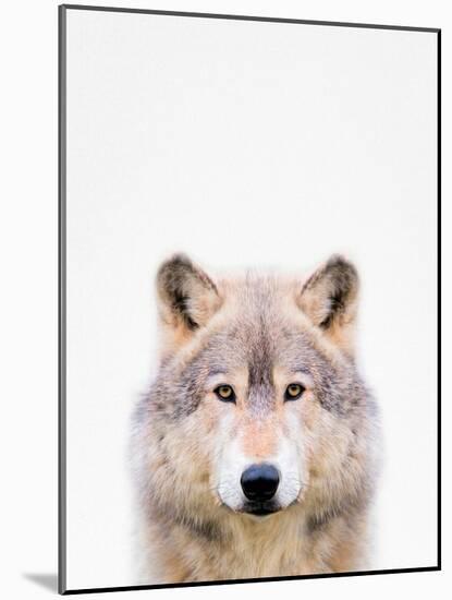 Wolf-Tai Prints-Mounted Photographic Print