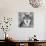 Wolf-null-Mounted Giclee Print displayed on a wall