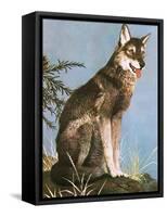 Wolf-English School-Framed Stretched Canvas