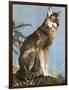 Wolf-English School-Framed Giclee Print