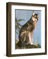 Wolf-English School-Framed Giclee Print