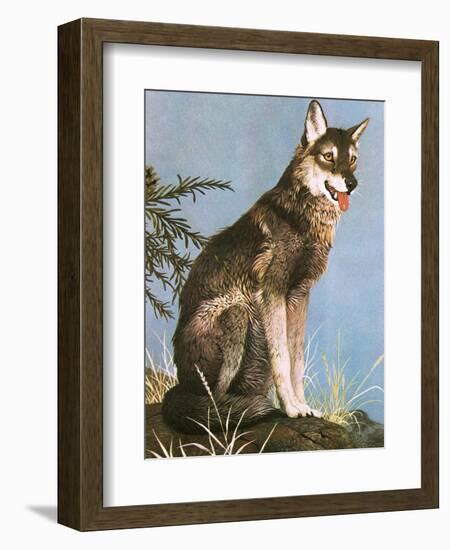 Wolf-English School-Framed Giclee Print