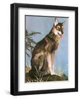 Wolf-English School-Framed Giclee Print