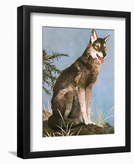 Wolf-English School-Framed Giclee Print