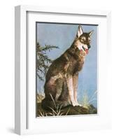 Wolf-English School-Framed Giclee Print