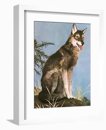 Wolf-English School-Framed Giclee Print