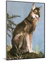 Wolf-English School-Mounted Giclee Print