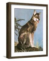 Wolf-English School-Framed Giclee Print