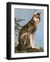 Wolf-English School-Framed Giclee Print