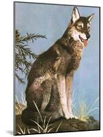 Wolf-English School-Mounted Giclee Print