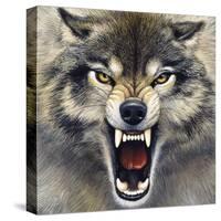 Wolf-Harro Maass-Stretched Canvas