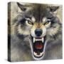 Wolf-Harro Maass-Stretched Canvas