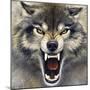 Wolf-Harro Maass-Mounted Premium Giclee Print