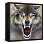 Wolf-Harro Maass-Framed Stretched Canvas