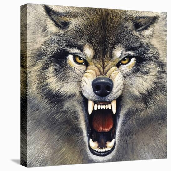 Wolf-Harro Maass-Stretched Canvas