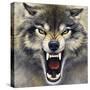 Wolf-Harro Maass-Stretched Canvas