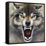 Wolf-Harro Maass-Framed Stretched Canvas