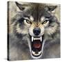 Wolf-Harro Maass-Stretched Canvas