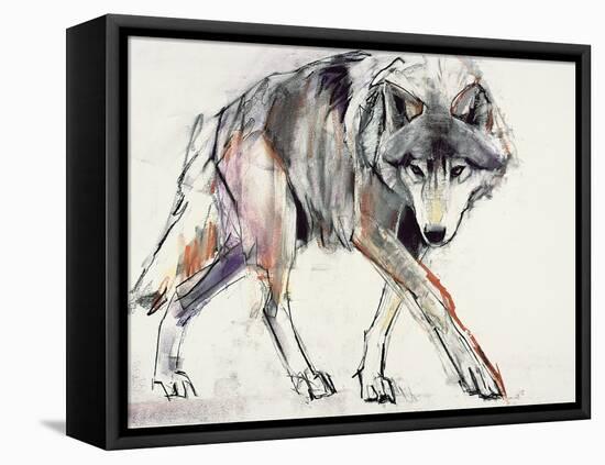 Wolf-Mark Adlington-Framed Stretched Canvas