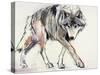 Wolf-Mark Adlington-Stretched Canvas