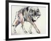 Wolf-Mark Adlington-Framed Giclee Print