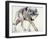 Wolf-Mark Adlington-Framed Giclee Print