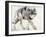 Wolf-Mark Adlington-Framed Giclee Print