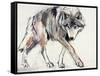 Wolf-Mark Adlington-Framed Stretched Canvas