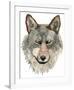 Wolf-Jeannine Saylor-Framed Art Print