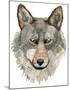 Wolf-Jeannine Saylor-Mounted Art Print