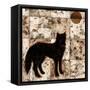 Wolf-Nicholas Biscardi-Framed Stretched Canvas