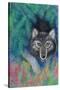 Wolf-Oxana Zaika-Stretched Canvas