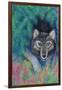 Wolf-Oxana Zaika-Framed Giclee Print