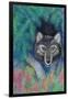 Wolf-Oxana Zaika-Framed Giclee Print