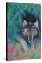 Wolf-Oxana Zaika-Stretched Canvas