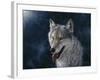 Wolf-Jeff Tift-Framed Giclee Print