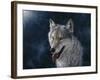Wolf-Jeff Tift-Framed Giclee Print