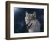 Wolf-Jeff Tift-Framed Giclee Print