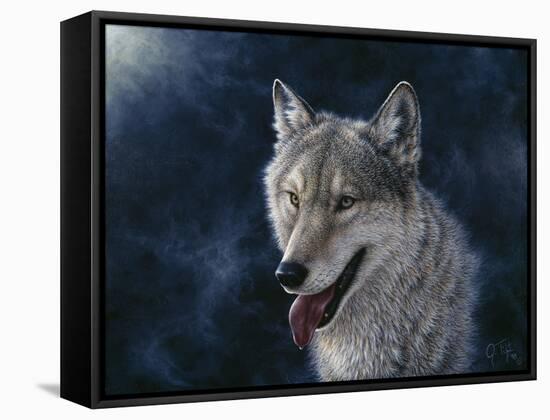 Wolf-Jeff Tift-Framed Stretched Canvas