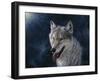 Wolf-Jeff Tift-Framed Giclee Print