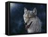 Wolf-Jeff Tift-Framed Stretched Canvas