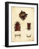 Wolf-null-Framed Giclee Print